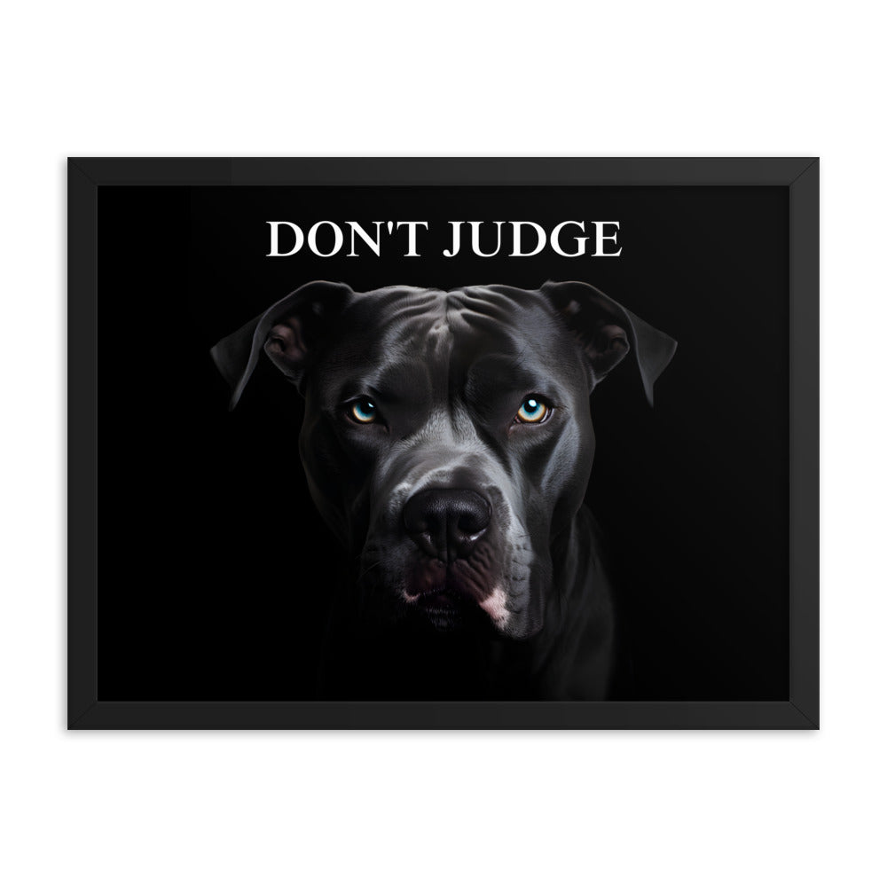 "Don't Judge" Pitbull Framed Poster - Pittie Choy