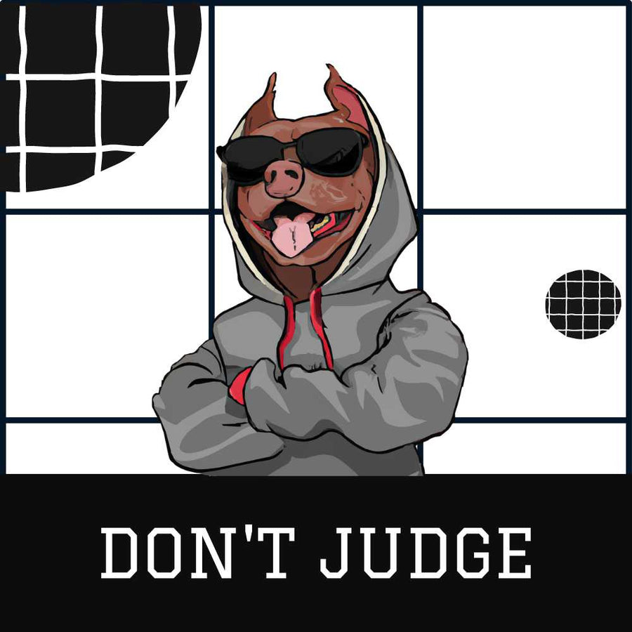 Don't Judge Pit Bull Shirts, Hoodies & Gifts